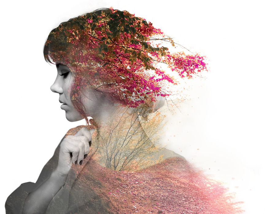 Foto-Header